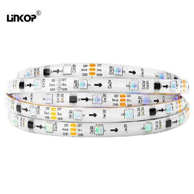 중국 Addressable Rgb Flexible Self-Adhesive Light Strip 2811 Fantasy Rope Light Ip65 Waterproof Linear Light 10mm 판매용