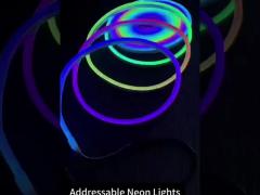 Diy  Flexible Neon Light  Addressable Rgb Luminous For Outdoor Decoration 24v