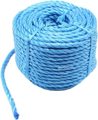 China Blue Rope Polypropylene 30 Meter Length X 6mm Diameter 10mm for sale