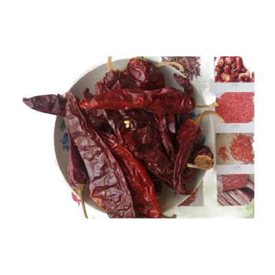 China With or without new stalk crop 2021 best selling with good quality dried chili peppers crushed chili peppers hotpot seasoning for sale