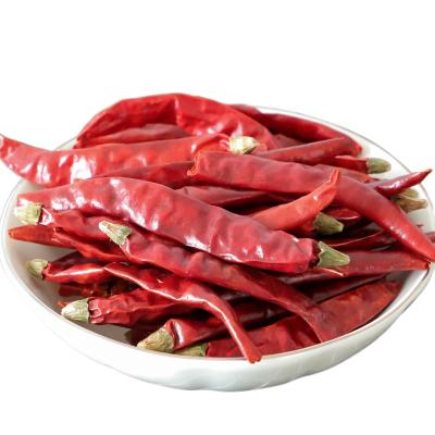 China With or without new stem culture best sell China red bell peppers ready-to-eat red porcelain bullet good quality bell pepper yellow bell pepper for sale