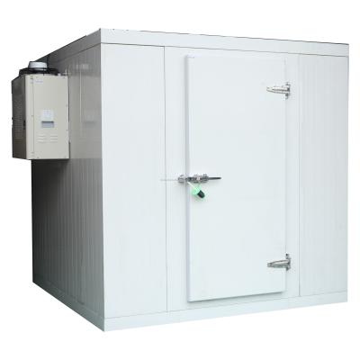 China Air Cooling Cold room refrigeration unit cold rooms for sale in south Africa Single Door for sale