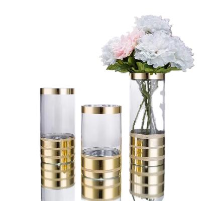 China Hot Selling Europe High Straight Glass Vase Borosilicate Glass Vase For Home Decoration Flowers for sale