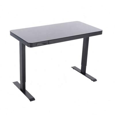 China (Height) High Quality Mental Adjustable Height Stainless Steel Office Computer Desk Adjustable Glass Desk for sale