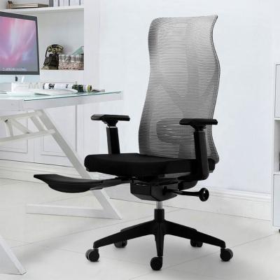 China Adjustable Ergonomic Mesh Desk Chair Computer Task Chair (Height) Adjustable Office Chair for sale