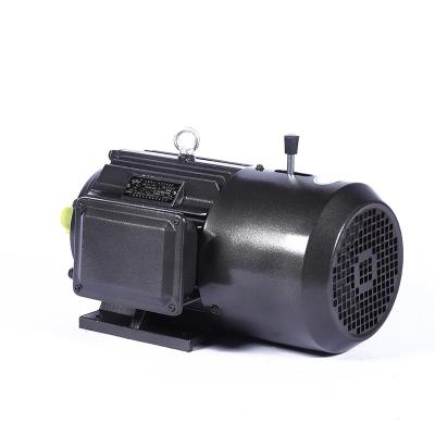 China Explosion-proof Hot Selling High Efficiency YEJ series 8-pole three-phase asynchronous motor 380V 60Hz all copper motor for sale