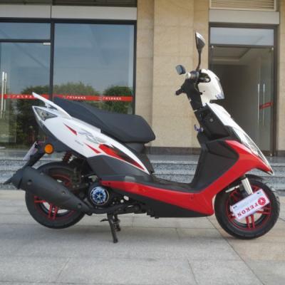 China 110cc Fekon Mini Scooter For Sale Scooter Motorcycle Motorbike 106kg FEKON zu verkaufen