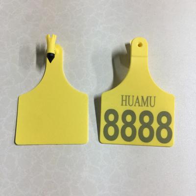 China Single Farms Livestock Agriculture Equipment Ear Tag Large Z Tag Cattle Ear Tag zu verkaufen