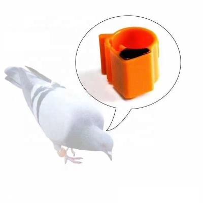 China Hot Sales Bird RFID Pigeon Ring Tag For Bird Racing à venda