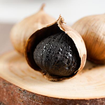 China Health Care Fresh Mild Flavor Fresh Japanese Black Garlic For Beauty for sale