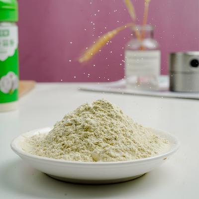 China Dried Fresh Vegetable Dried Seasoning Powder for sale