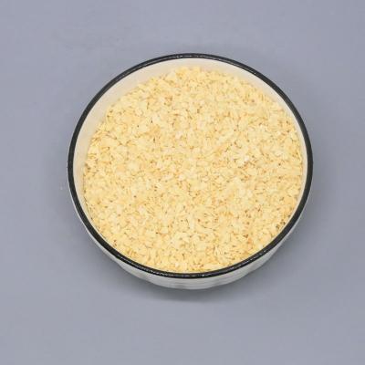 China China Supplier Dry Wholesale Food Ingredient Garlic Spray Dried Extract Minced for sale