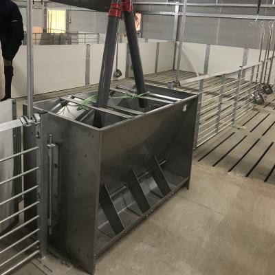 China Save Breeding Cost Automatic Pig Feeder And Drinker Automatic Pig Feeding System And Watering System For Pig Farm for sale