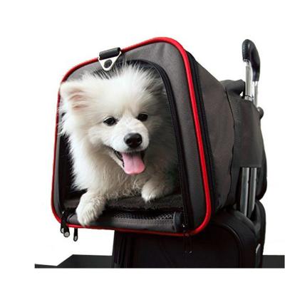 China Sustainable Removable Wheeled Pet Carrier For Small Dogs Medium Puppy Cat Expandable Pet Bag for sale