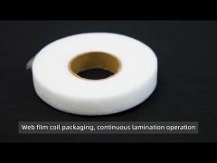 Hot Melt Adhesive Web Film