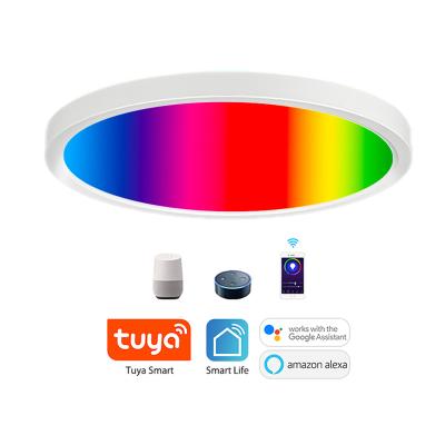 China Modern Home Decoration Smart Flush Mount RGB Ceiling Lamp Wifi App Cct Led Decorative Ceiling Light Fixture for sale