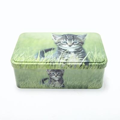 China Packaging Metal Tin Wholesale Decoration Rectangle Biscuit Box for sale