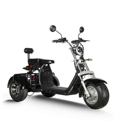 China Best Selling Unisex Electric Tricycle Adults 2000W Citycoco 12AH/20AH/40AH Electric Bike Tricycles MTB Electric Cargo for sale