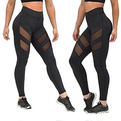 China Black Mesh Workout Yoga Pants Gym Fashion High Waist Women Breathable Elastic Fitness Gaiters For Women for sale