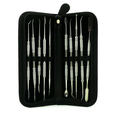 China Beautiful and Durable 10pcs Stainless Steel Tool Kit Cosmetology Dental Trimming Cleaning Tools with Zipper Bag for sale