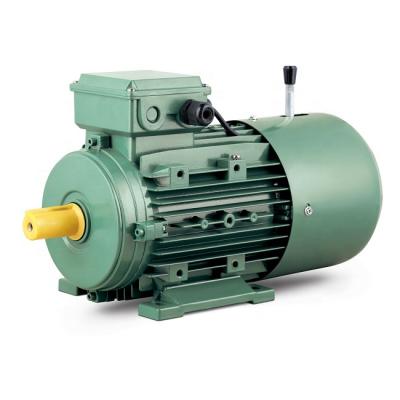 China Three Phase Induction AC Brake Totally Enclosed Aluminum Housing Electric Motor for sale