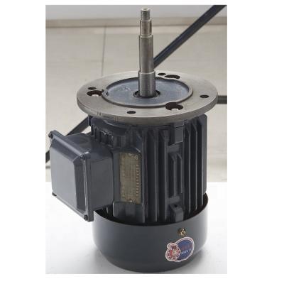 China Fast Delivery IE4 Motor Manufacturer Totally Enclosed Three Phase Cast Iron Induction Electric AC Motor for sale