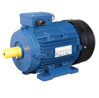 China Aluminum Three Phase Totally Enclosed IE3 Induction Electric AC Motor for sale