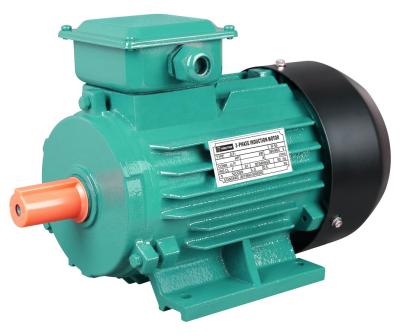 China Totally Enclosed IE1 Cast Iron Three Phase Induction Electric AC Motor for sale