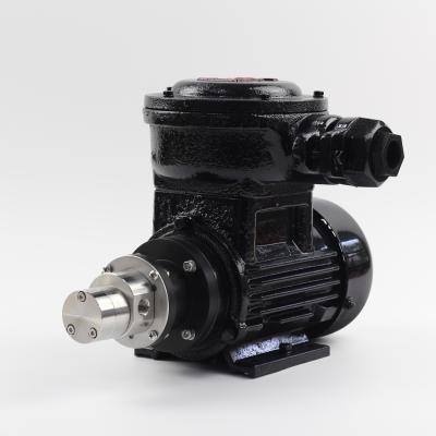 China Automotive industry EX grade magnetic gear pump MG312XK/AC220FB for chemical industry for sale