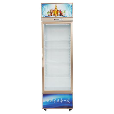 China Single-temperature Web celebrity beer cabinet display cabinet transparent glass commercial beverage refrigeration equipment for sale