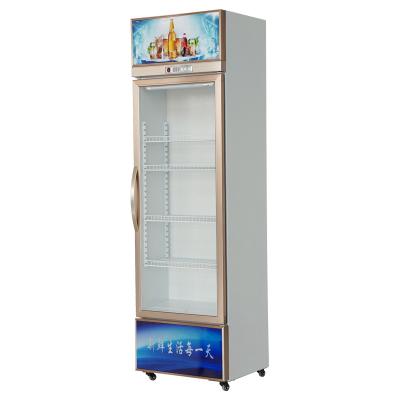 China Hot-selling Clear Glass Single-temperature LED Lager Cabinet Display Cabinet Beverage Commercial Refrigeration Equipment for sale