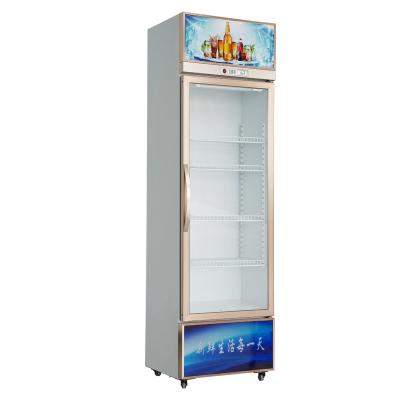 China Single-temperature Beer Cabinet Display Cabinet Hot Selling Transparent Glass Commercial Beverage Refrigeration Equipment for sale