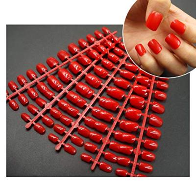 China Kit Different Size Including 12 Natural French Fake Nails for sale