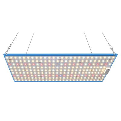 China Easy Install CrxSunny XP1000 Full Spectrum Small Array , Samsung LM281B+ With Epistar 660nm IR UV Led Box Grow Lights For Sowing Seed for sale