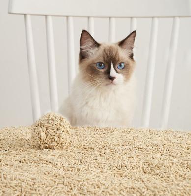 China Viable Competitive Price Cat Litter Tofu Flushable Cat Soil Corn Casava Cassava Cat Sand for sale