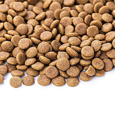 China 100% Promotion Best Natural Seasonal Pet Food Cat Food Dry Pet Food for sale