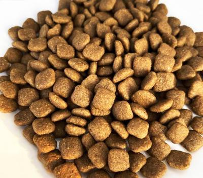 China 100% Natural Low Price Original Dog Food Double Channel Dog Treats Pet Dry Dog Food for sale