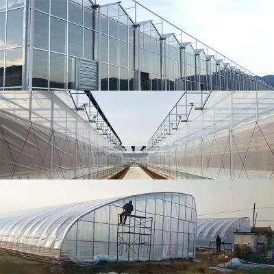 China Single-span Multi-span Fruit Flowers China Manufacturer Plastic Sheet Polycarbonate Sheet Glazed Glass Cover Metal Plant Frame Agricultural Greenhouses for sale