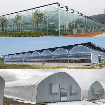 China Vegetable Fruits Flowers Commercial Vegetables Seeds Vertical Agricultural Greenhouse PC Sheet Polycarbonate Film Glass Covers Multi Material Span Greenhouses for sale