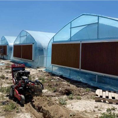 China Plastic Reinforced Agricultural Single-span Light Deprivation Film Fruit Vegetable Flowers Single-Span Tunnel Greenhouse for sale