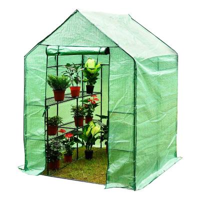 China Outdoor Portable Mini Walk In Fruit Plant Flower Greenhouse 3 Tiers 12 Bury Racks PE Cover Small Walk In Greenhouse For Plants And Flowers for sale