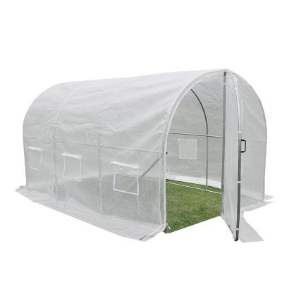 China Plastic Flowers Fruits Backyard Mini Greenhouse Vegetable Portable Film Greenhouse for sale