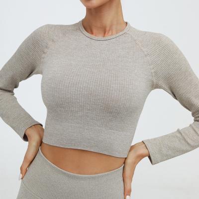 China Breathable Knitted Seamless Sexy Fitness Wear Women's Solid Color Long Sleeve Sports Upper Sexy Navel Cropped Yoga Wear for sale