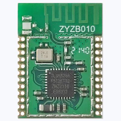 China Smart Home ZYZB010 ZigBee 3.0 Band 1-5 Switch, Plug, 1-5 PWM Light Telink TLSR8258 Module (W, CW, RGB, RGBW, RGBCW) for sale