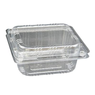 China 300g Disposable Plastic Fruit Clear PET Food Container for sale