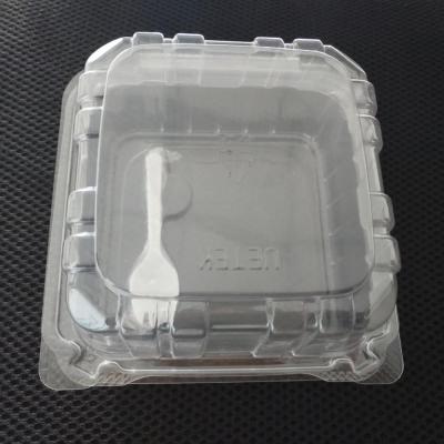 China Cheap disposable plastic PET cake container with transparent top for sale