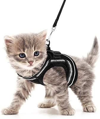 China Viable Small Cats Walking Soft Adjustable Escape Proof Kittens Invest Comfortable Outdoor Vest Cat Harness And Leash Set Reflective Brand for sale