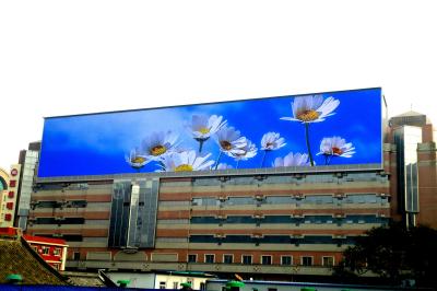 China La publicidad a todo color de la INMERSIÓN P10 llevó la exhibición y la pantalla comercial del LED (1R1G1B) en venta