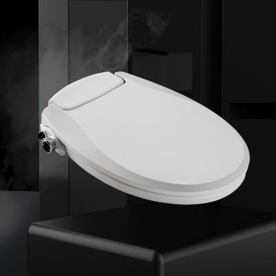 China Automatic Spout Self-Cleaning Non-Electric Toilet Seat Cover With Bidet Function for sale