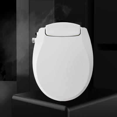 China Self Cleaning Spout Round Shape Non Electronic Bidet Toilet Seat With Double Spouts for sale